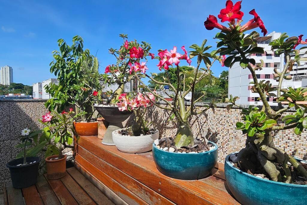 Cobertura Duplex 2 Quartos No Rio Vermelho Apartamento Salvador de Bahía